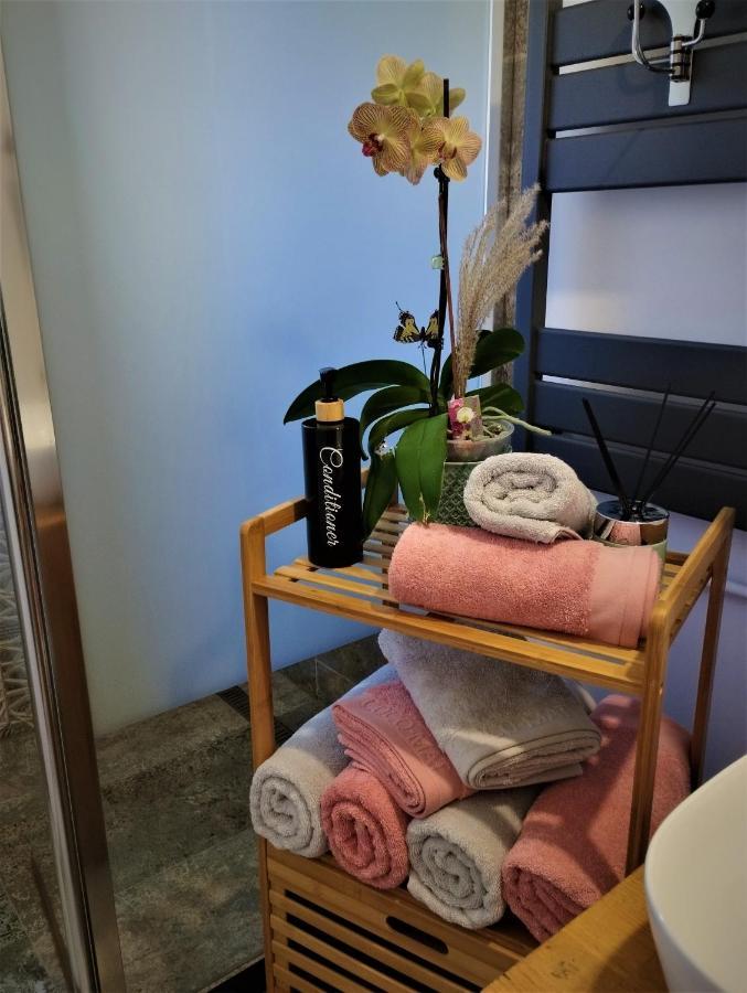 Central Lala Apartament Daire Braşov Dış mekan fotoğraf