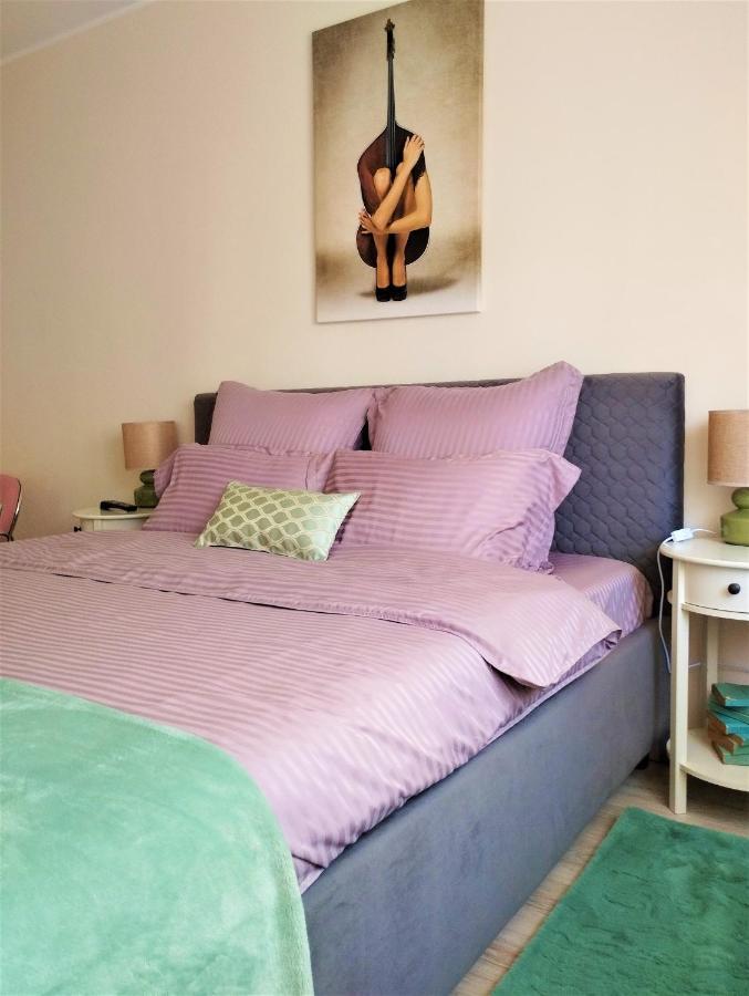 Central Lala Apartament Daire Braşov Dış mekan fotoğraf
